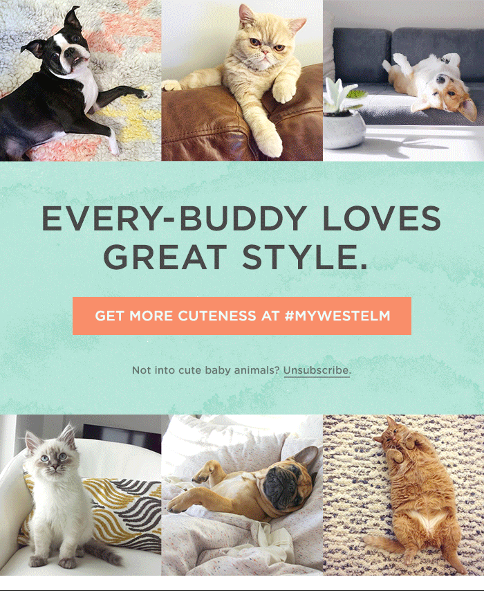 Every-Buddy Loves Great Style. Get more cuteness at #mywestelm