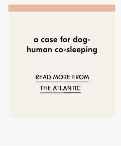 Read more from the Atlantic