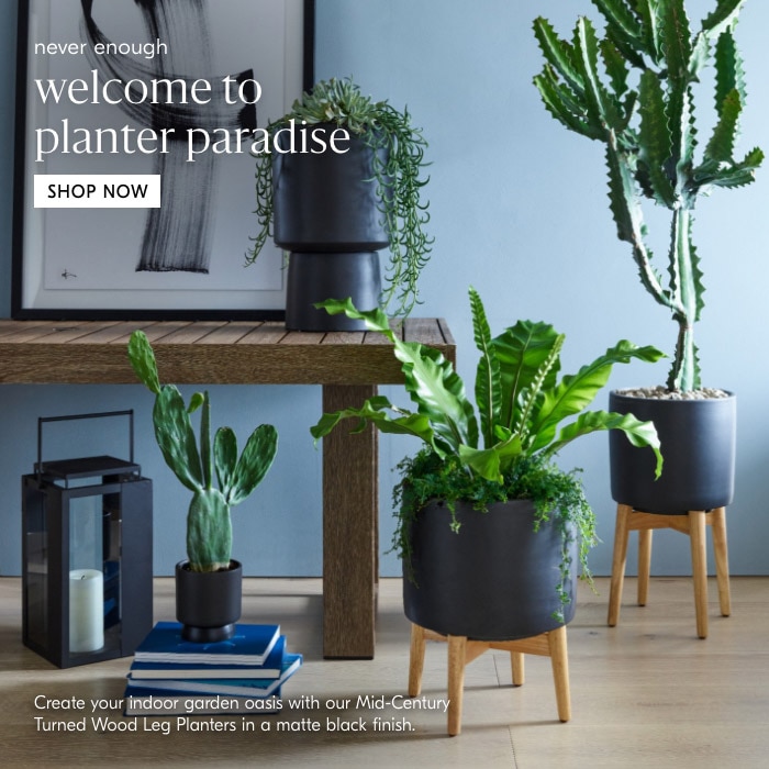 welcome to planter paradise