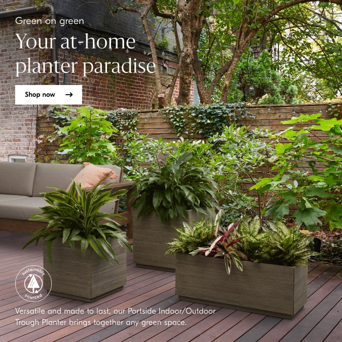 Your at-home planter paradise