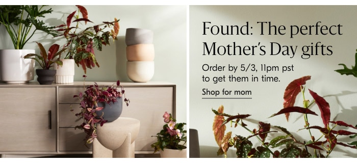 Shop for mom