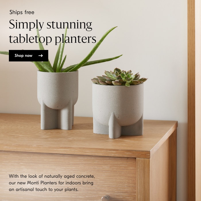 Simply stunning tabletop planters