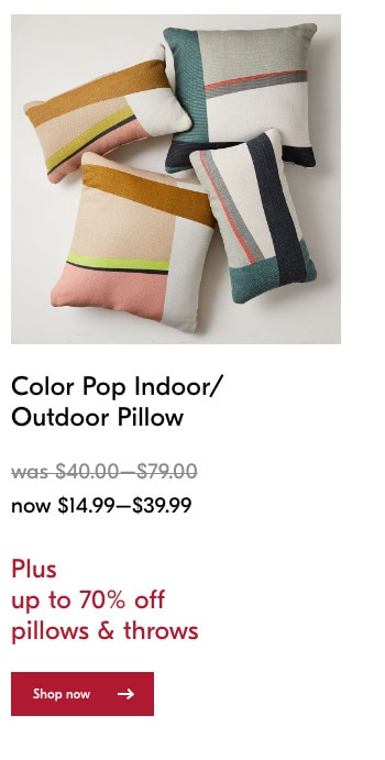 Shop Now