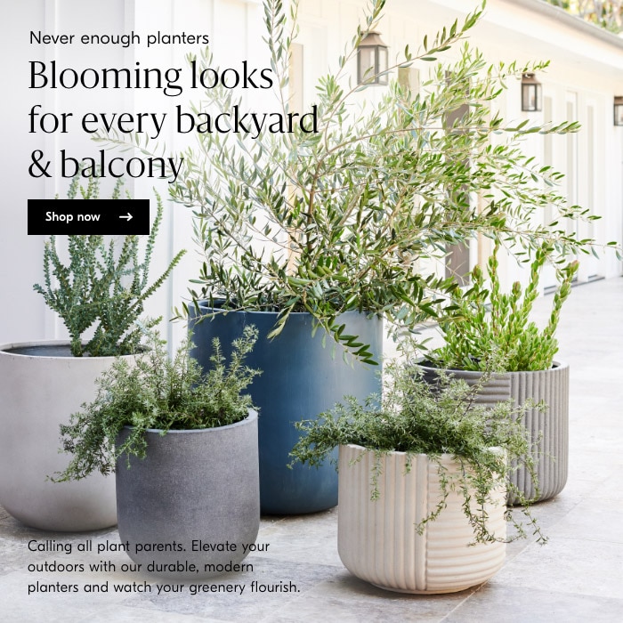 Never enough planters