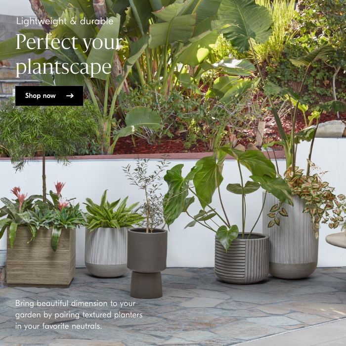 Perfect your plantscape