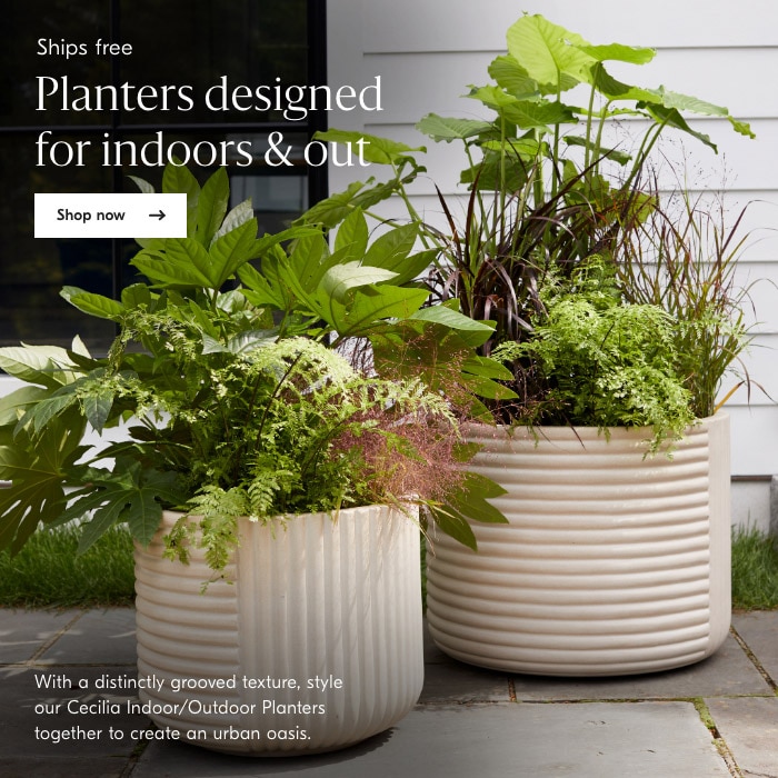 Planters designed for indoors & out