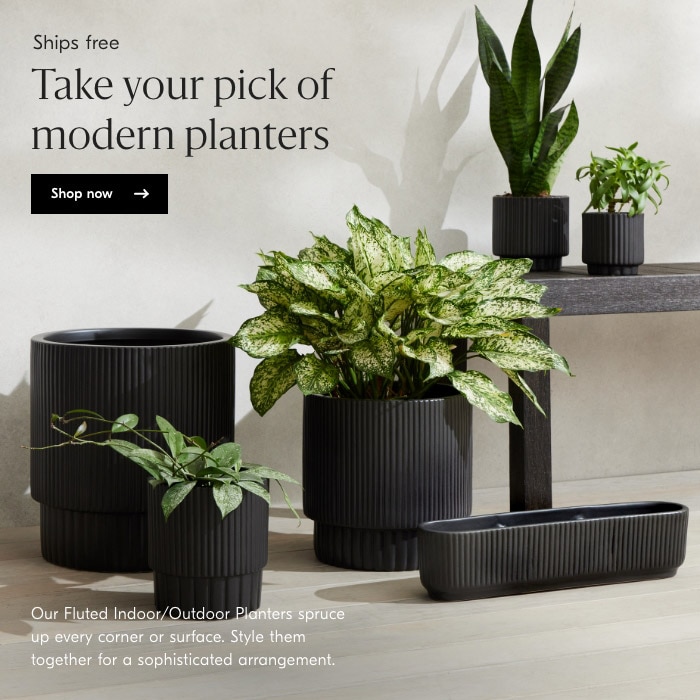 Take your pick of modern planters