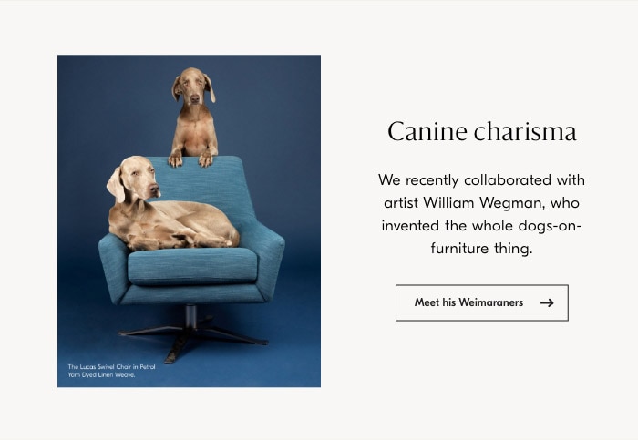 Canine charisma