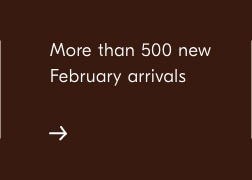More than 500 February arrivals