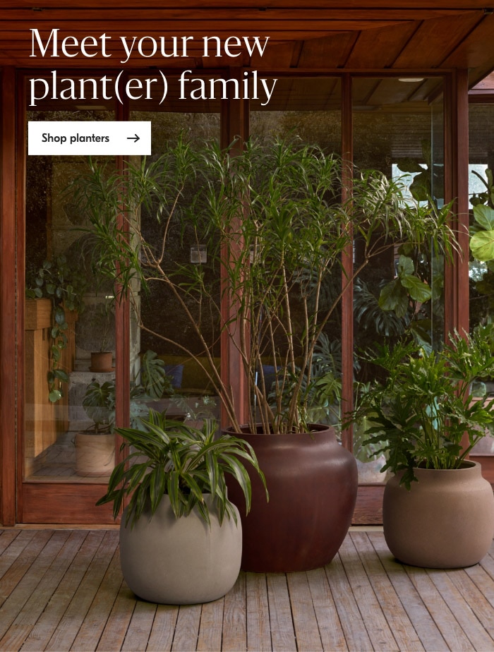 Shop planters