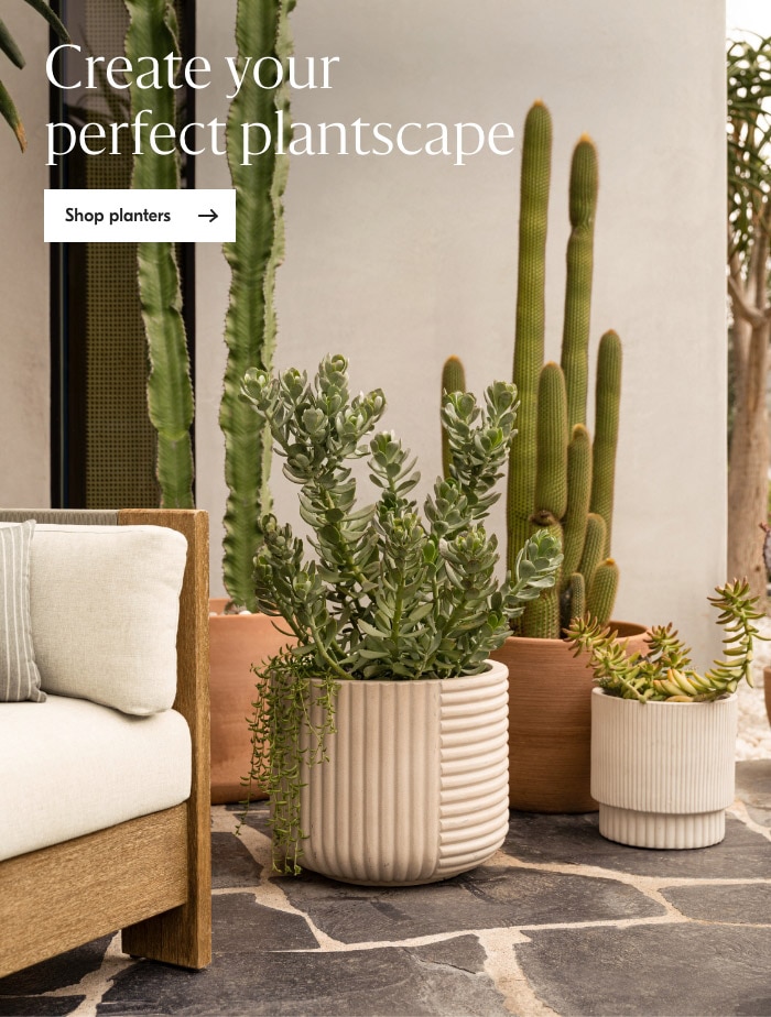 Shop planters