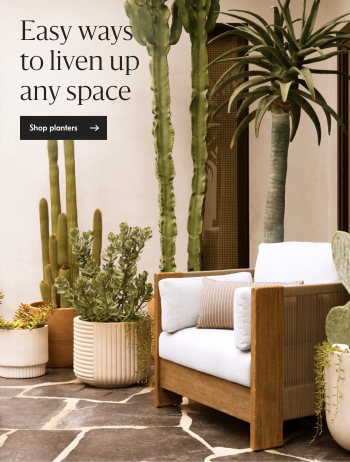 Shop planters