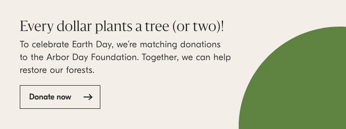 Donate now