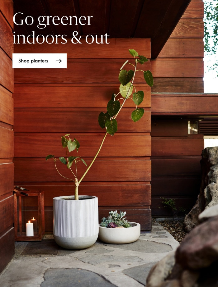 Shop planters
