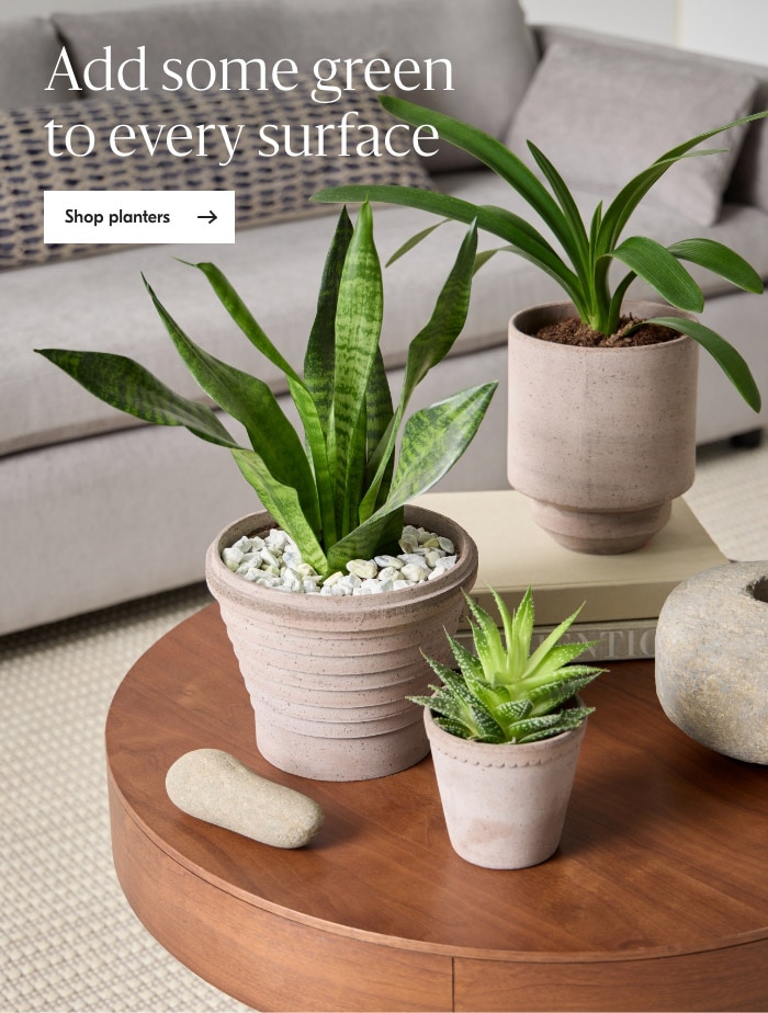 Shop planters