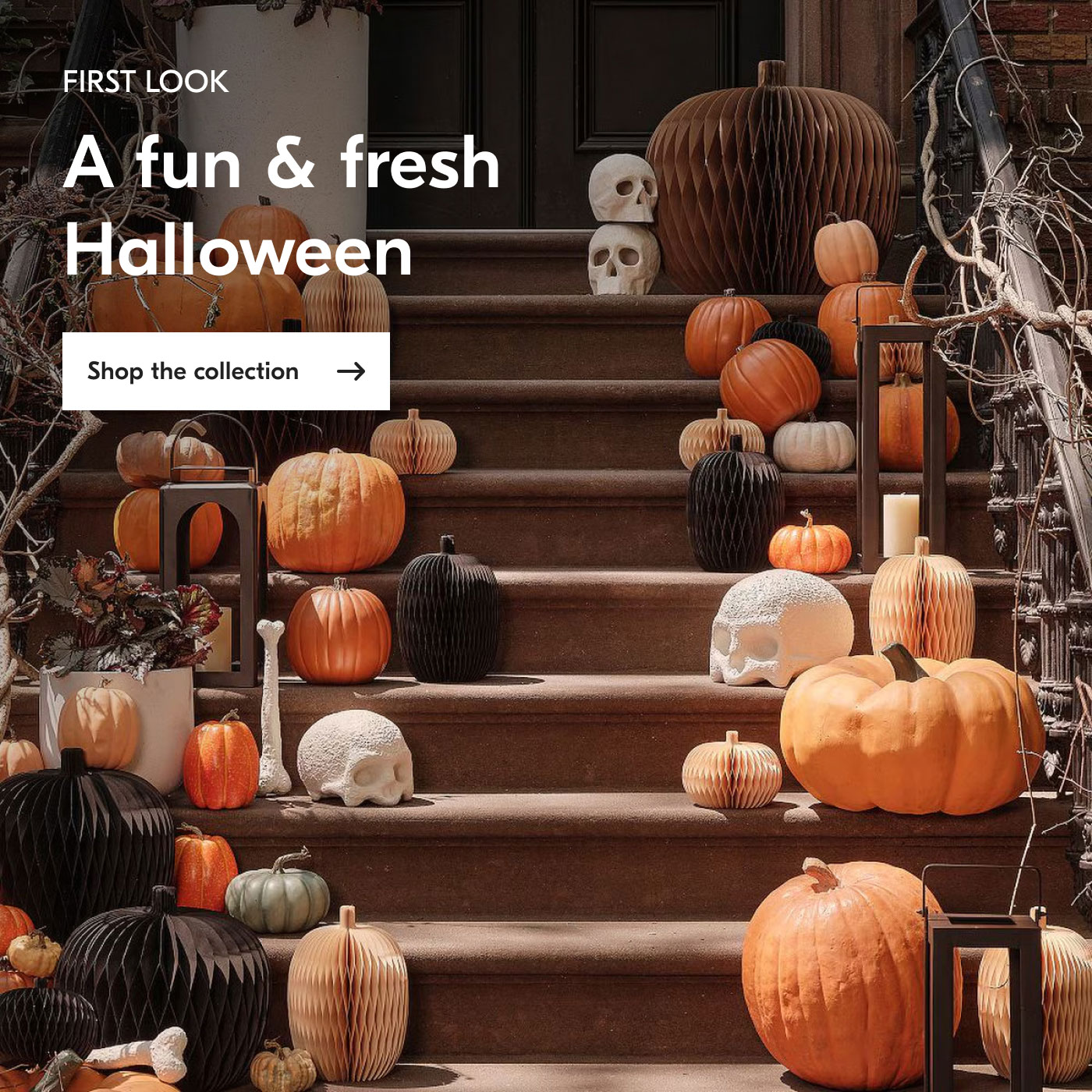 First Look - A fun & fresh Halloween - Shop the collection
