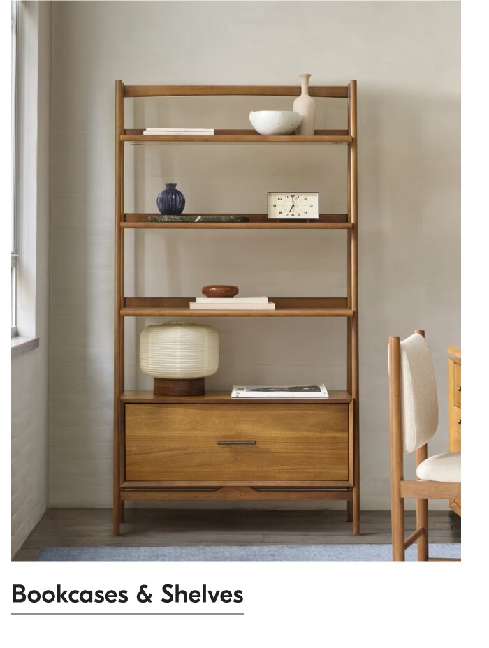 Bookcases & Shelves