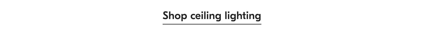 Shop ceiling lighting