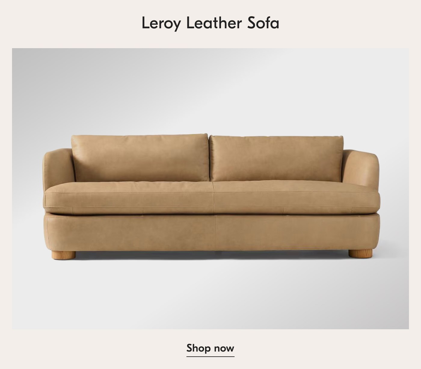 Leroy Leather Sofa