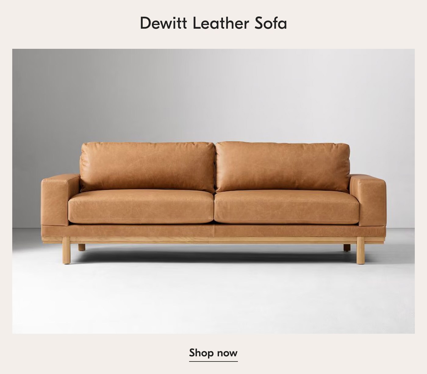 Dewitt Leather Sofa