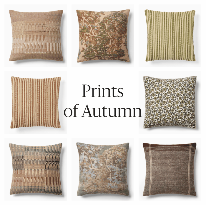 Shop Cushions