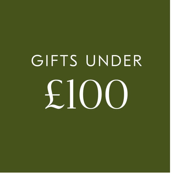 Gifts under 100
