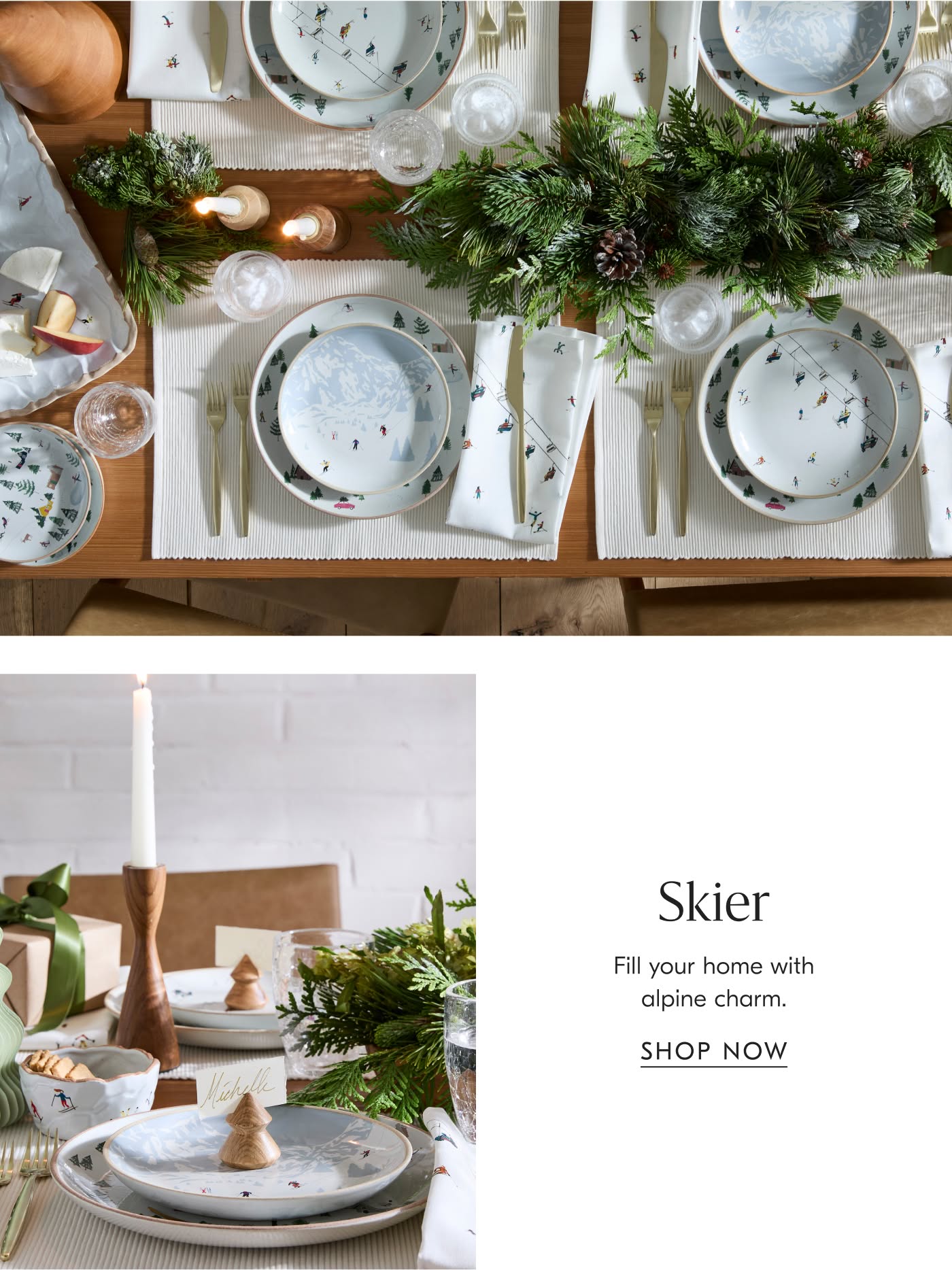 Skier - Shop now