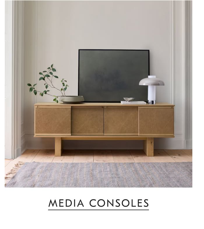 Media Consoles