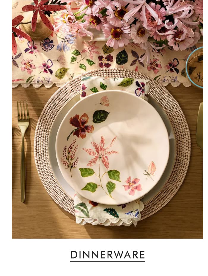 Dinnerware