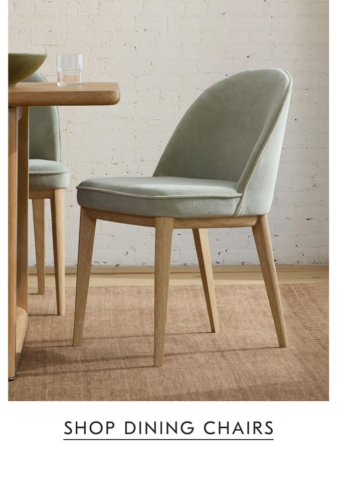 Shop Dining Chairs
