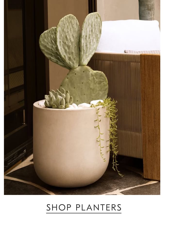 Shop Planters