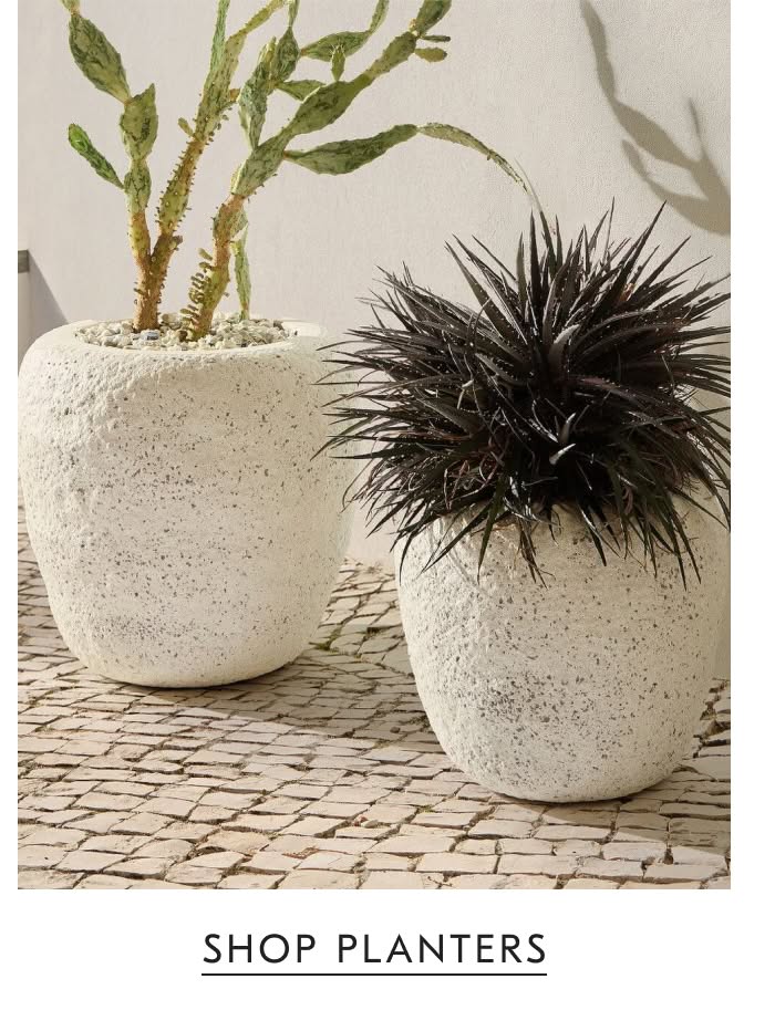 Shop Planters
