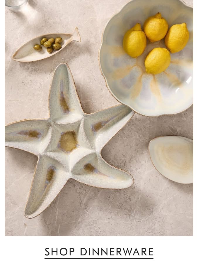 Shop Dinnerware