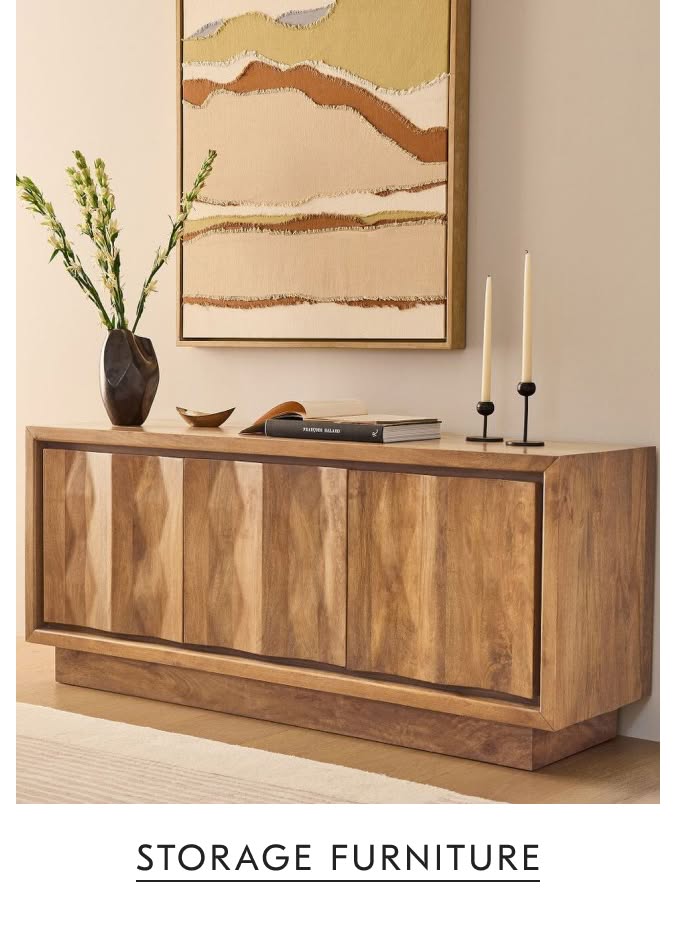 Storage Furniture