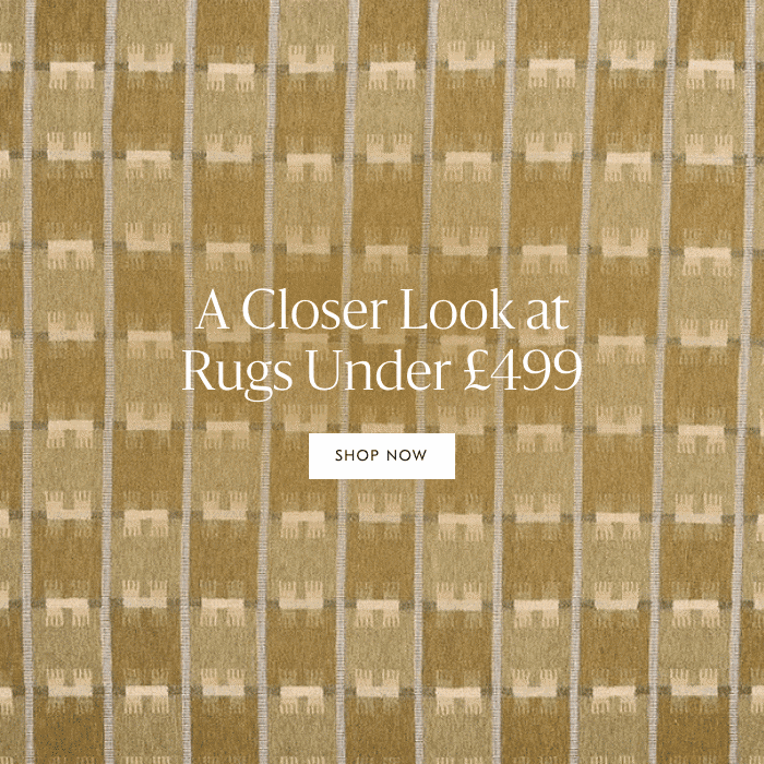 Rugs under  499 - Shop Now