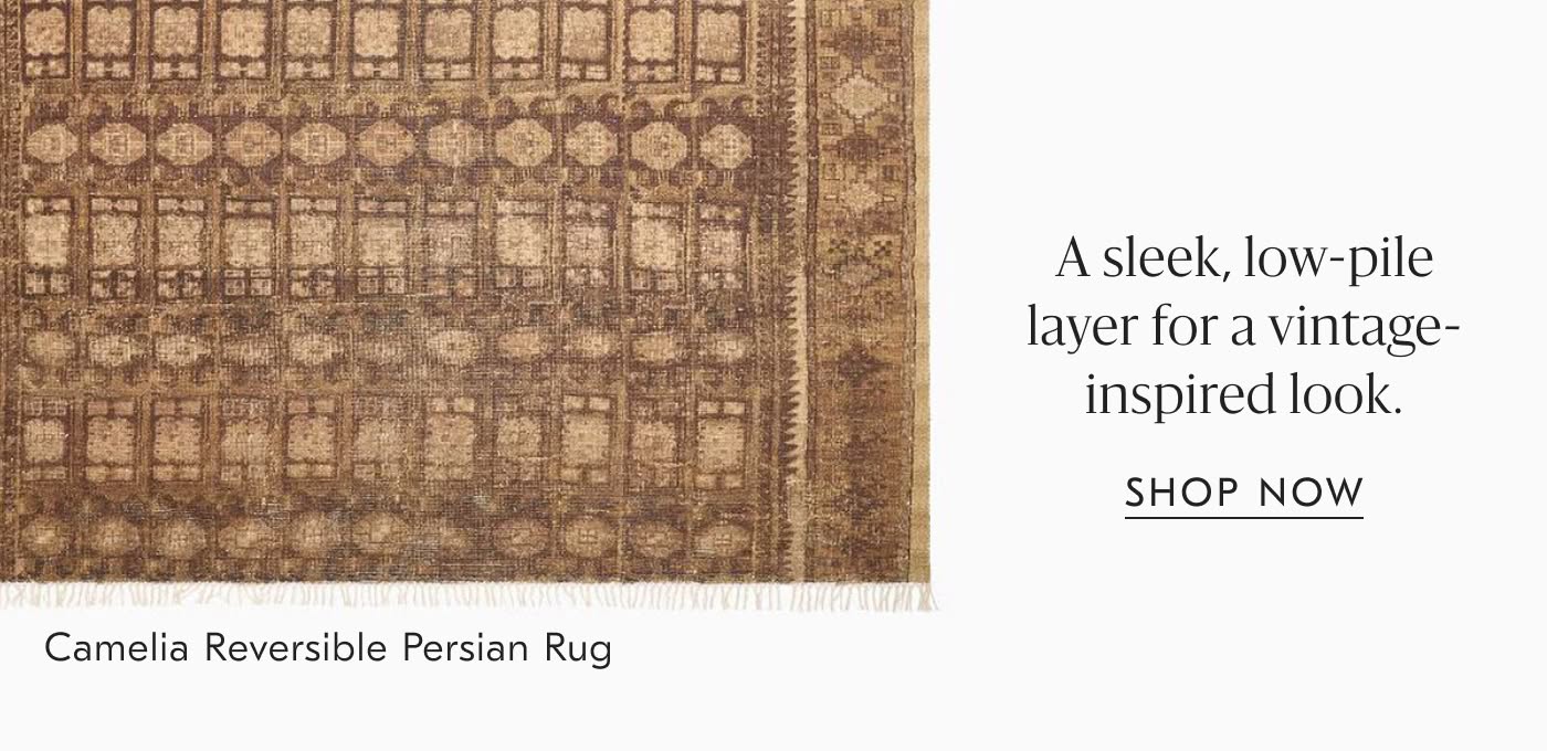 Camelia Reversible Persian Rug | A sleek, low-pile layer for a vintage-inspired look - Shop Now