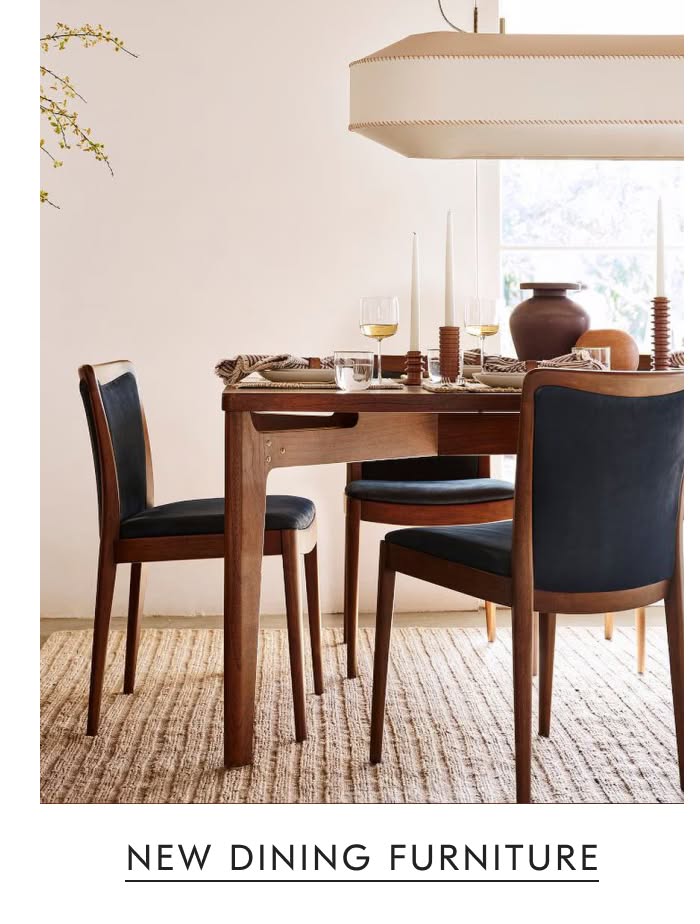 New Dining Furniture