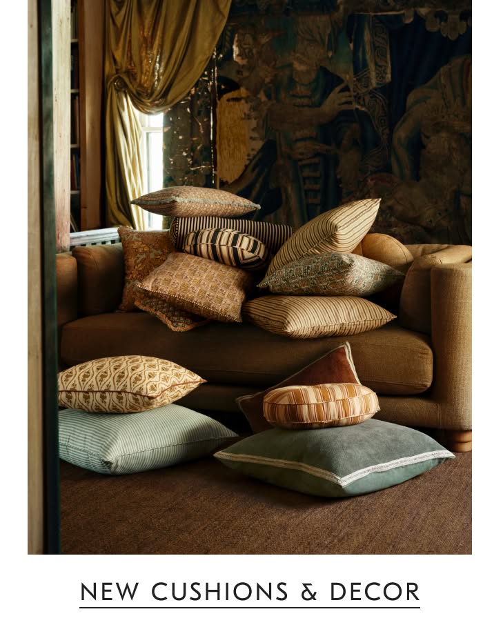 New Cushions & Decor